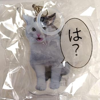Amazon.co.jp: 猫 ミーム ソフト目印チャーム ガチャガチャ 4つ